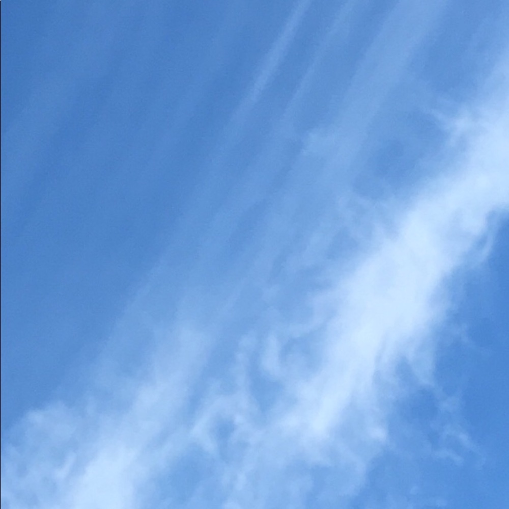 Meet your Posher, Lexie